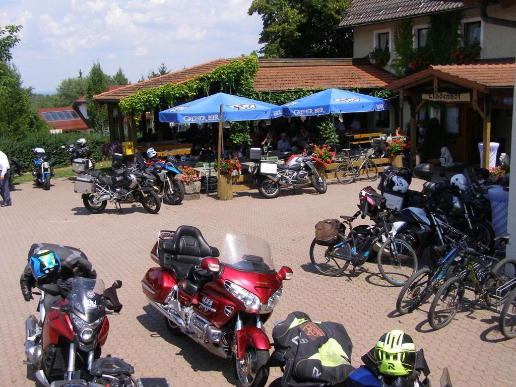Lindenhof Hetzenbach Hotel Zell Ngoại thất bức ảnh